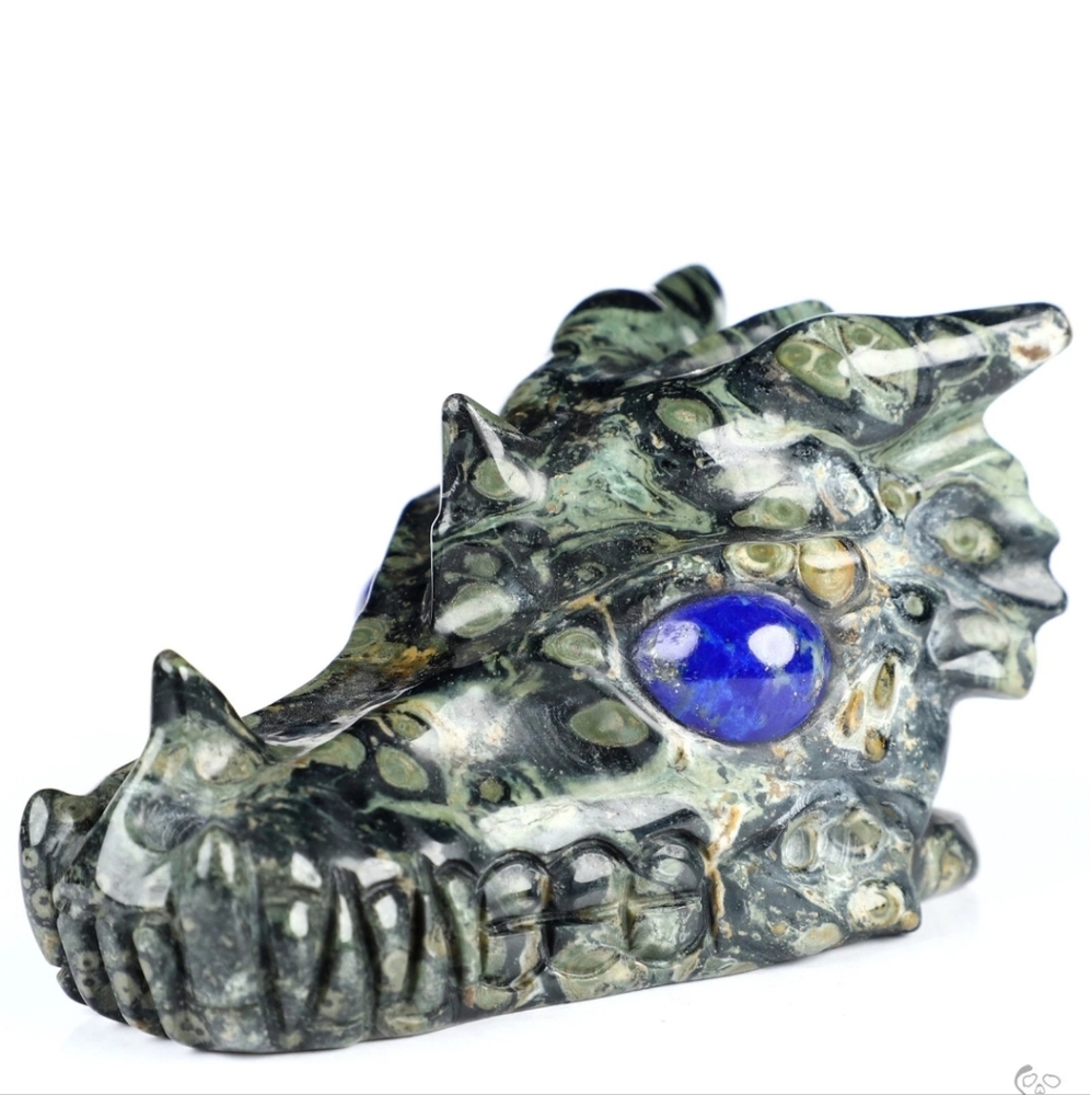 3.9", Kambaba Jasper Dragon Skull with Lapis Lazuli Eyes, 316 grams, NWT!